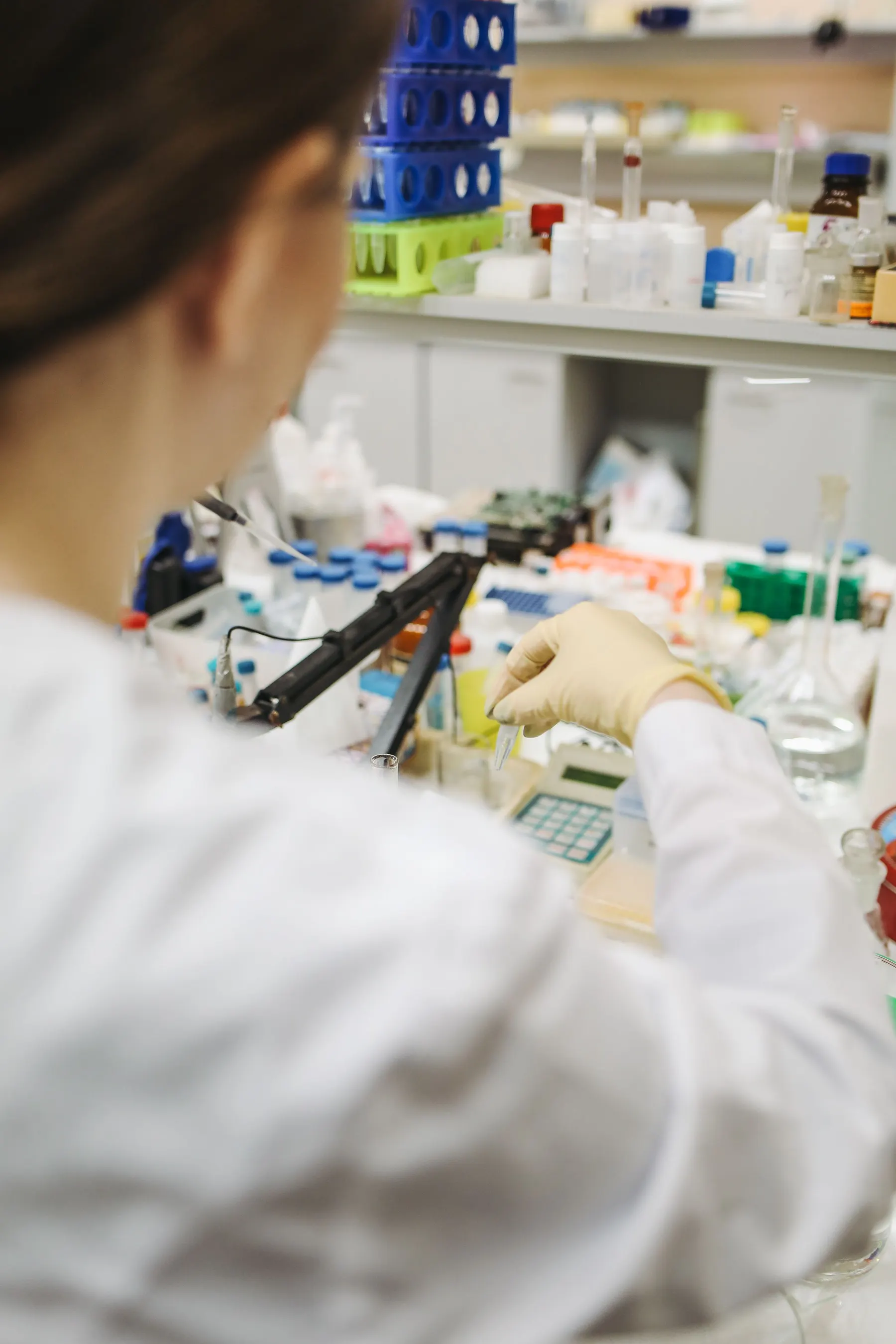 Scientist reviewing samples at a laboratory bench